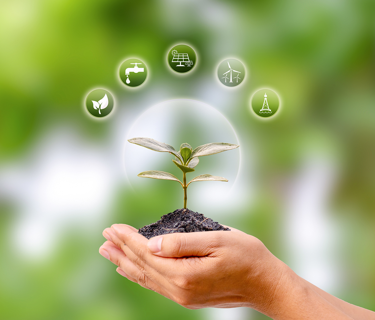 Sustainability